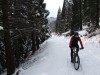 Winterwald